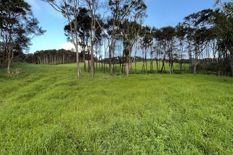 Photo of property in 185 Zanders Road, Helensville, Waimauku, 0882