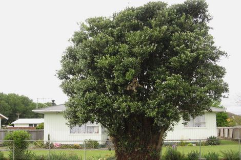 Photo of property in 26 Princess Street, Opotiki, 3122