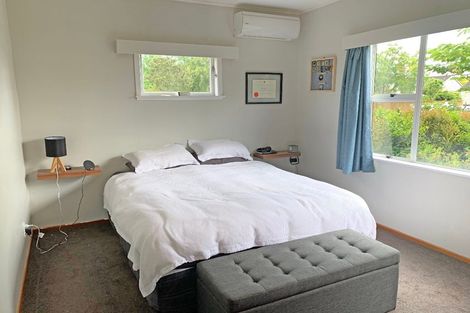 Photo of property in 17 Ihle Street, Terrace End, Palmerston North, 4410