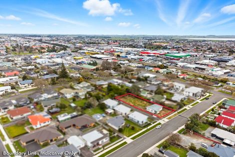 Photo of property in 8 Montgomery Street, Levin, 5510