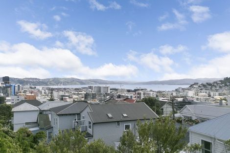 Photo of property in 71 Nairn Street, Mount Cook, Wellington, 6011