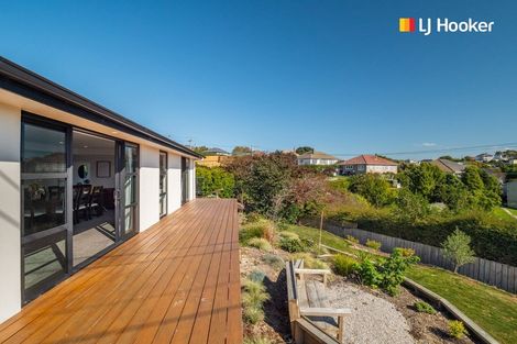 Photo of property in 122a Middleton Road, Corstorphine, Dunedin, 9012