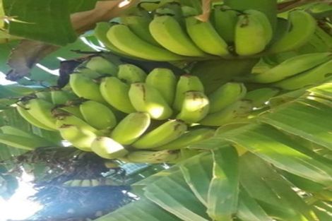 Photo of property in 14 Mitchell Road, Wairoa, 4108