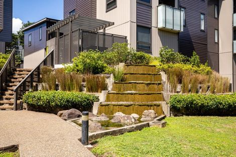 Photo of property in 44 Harold Street, Mount Eden, Auckland, 1024