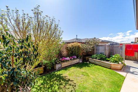 Photo of property in 23 Belgrove Drive, Waipukurau, 4200