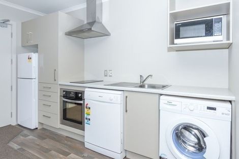 Photo of property in 58 Willoughby Street, Whitiora, Hamilton, 3200