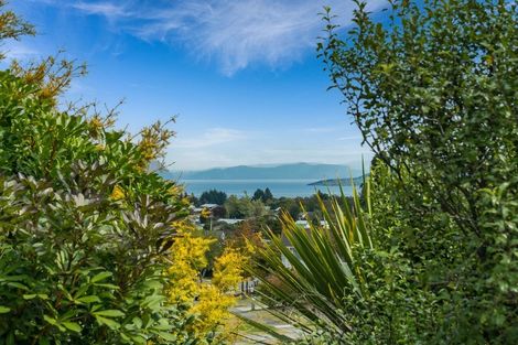 Photo of property in 73 Hyde Avenue, Richmond Heights, Taupo, 3330