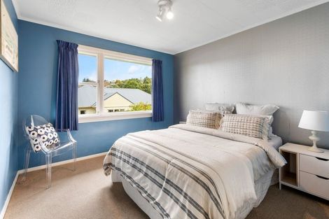 Photo of property in 49 Chapman Street, Wakari, Dunedin, 9010