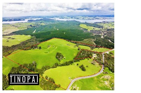 Photo of property in 1509 Tinopai Road, Tinopai, Matakohe, 0593