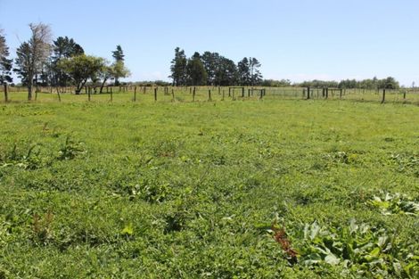 Photo of property in 111 Utopia Road, Westport, 7892