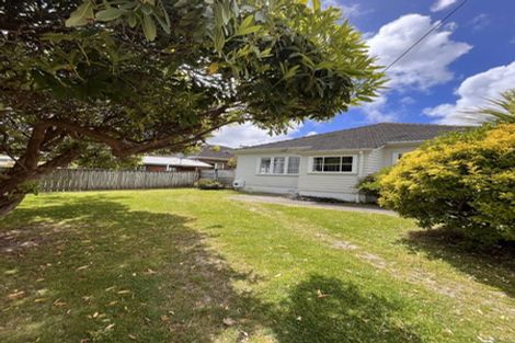 Photo of property in 43 Trinity Avenue, Epuni, Lower Hutt, 5011