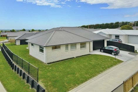 Photo of property in 70 Tynan Street, Te Puke, 3119