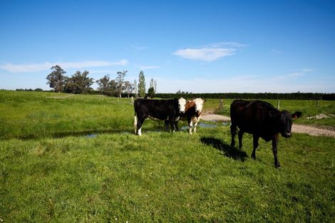 Photo of property in 105 Chapel Road, Loburn, 7472