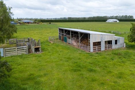 Photo of property in 202 Fords Road, Willowby, Ashburton, 7773