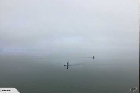 Photo of property in 11f Joan Street, Point Chevalier, Auckland, 1022