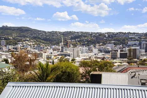 Photo of property in 138 Elizabeth Street, Mount Victoria, Wellington, 6011