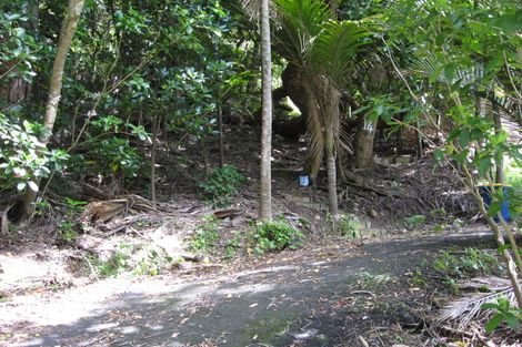 Photo of property in 14 Sylvan Glade, Piha, New Lynn, 0772