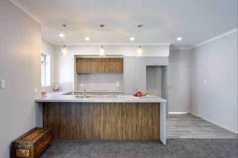 Photo of property in 28a Clarence Cox Crescent, Pirimai, Napier, 4112