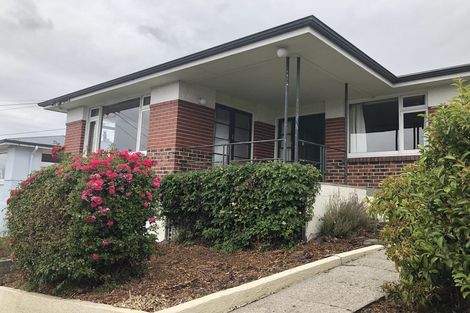 Photo of property in 66 Wilson Road, Balclutha, 9230