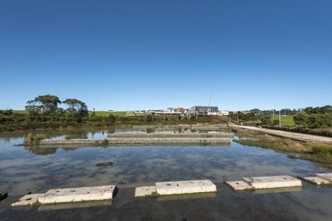 Photo of property in 109 Te Oneroa Way, Long Bay, Auckland, 0630
