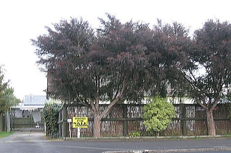 Photo of property in 91 Massey Street, Frankton, Hamilton, 3204