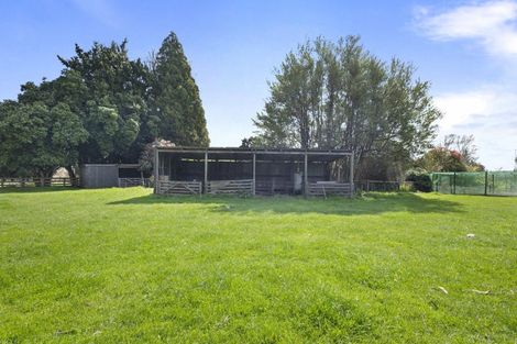 Photo of property in 352 Jeffersons Line, Marton, 4788