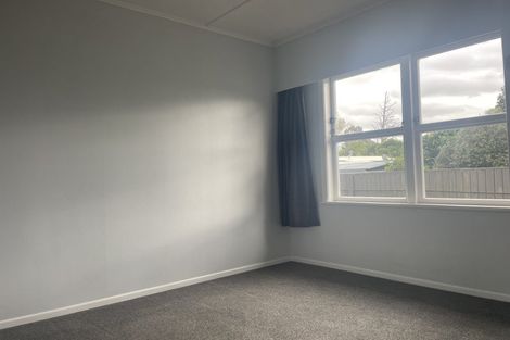 Photo of property in 41 Fitzroy Avenue, Fitzroy, Hamilton, 3206