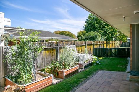 Photo of property in 10 Woodstock Crescent, Leamington, Cambridge, 3432