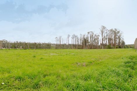 Photo of property in 30b Thompsons Track, Aongatete, 3178