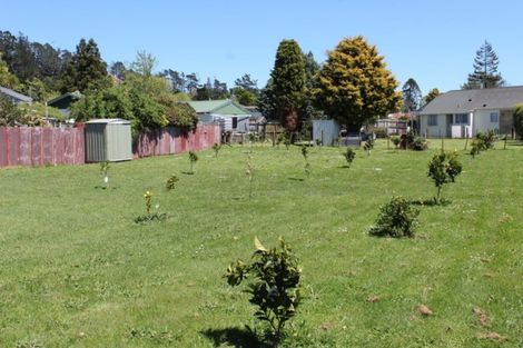 Photo of property in 22 Stafford Street, Waihi, 3610