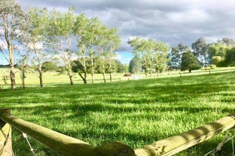 Photo of property in 137 Dunlop Street, Wallacetown, 9816