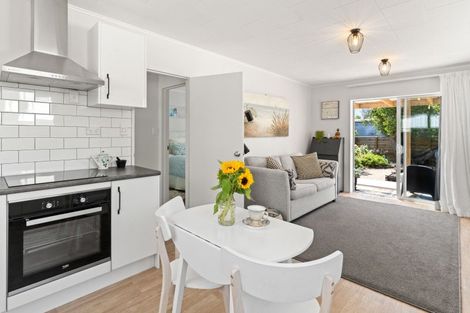 Photo of property in 49b Mcmaster Street, Greytown, 5712