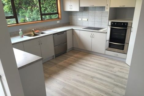 Photo of property in 18 Pine Avenue, Henderson, Auckland, 0612