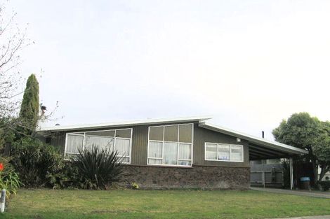 Photo of property in 43 Salisbury Avenue, Tamatea, Napier, 4112