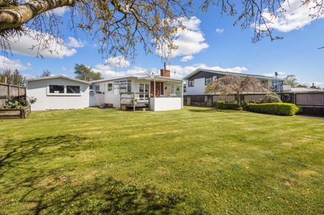 Photo of property in 3 Sheffield Street, Matamata, 3400