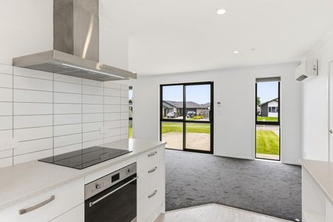 Photo of property in 97 Hinemoa Street, Levin, 5510
