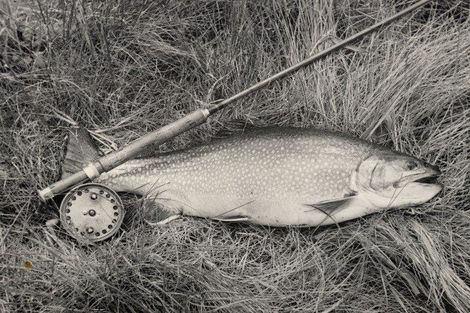 Photo of property in 11 Kokopu Street, Turangi, 3334