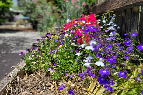 Photo of property in 17 Park View Rise, Gate Pa, Tauranga, 3112