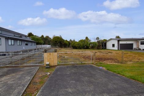 Photo of property in 17 Findlay Street, National Park, Owhango, 3989