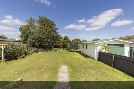 Photo of property in 30 Ruamahanga Crescent, Terrace End, Palmerston North, 4410