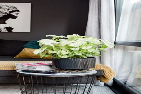 Photo of property in 3/3 Charlemont Street, Whitiora, Hamilton, 3200