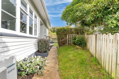 Photo of property in 113 Chapman Street, Wakari, Dunedin, 9010