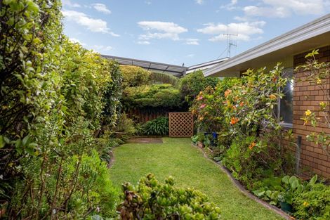 Photo of property in 5a Highfield Crescent, Brookfield, Tauranga, 3110