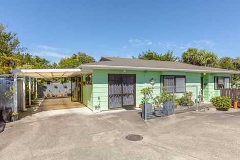 Photo of property in 35b Victoria Street, Masterton, 5810