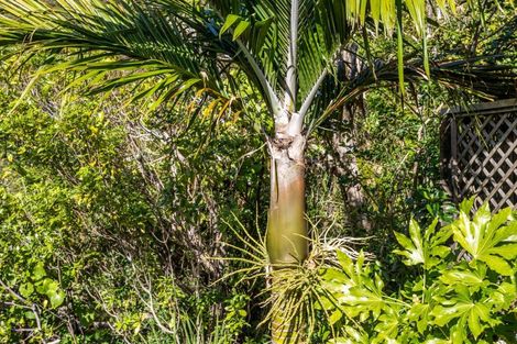 Photo of property in 2480 Wyuna Bay Road, Wyuna Bay, Coromandel, 3581