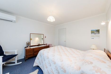 Photo of property in 101 Lincoln Street, Ashhurst, 4810