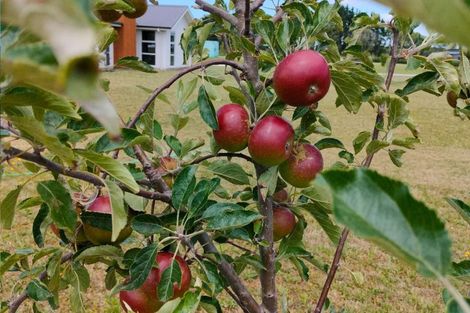 Photo of property in 133 Verdeco Boulevard, Lincoln, 7608