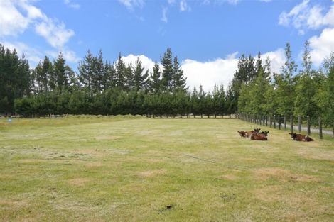 Photo of property in 1101 Downs Road, West Eyreton, Rangiora, 7475