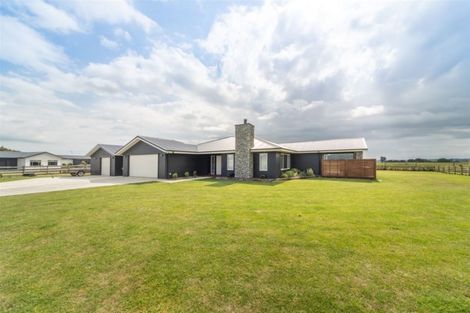 Photo of property in 61 Wapiti Avenue, Feilding, 4775