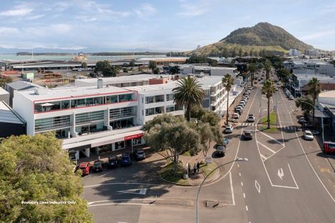 Photo of property in Palm Cove Apartments, 302/6 Tawa Street, Mount Maunganui, 3116